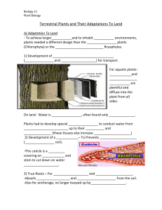 Unit 4 Notes #3Terrestrial Plants and Their Adaptations To Land