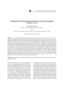 Computational Constraints that may have Favoured the Lamination