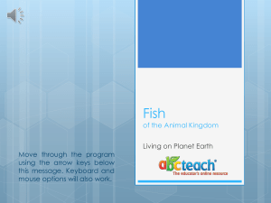 Fish - ABCTeach
