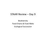 STAAR Review * Day 9