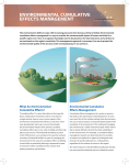 environmental cumulative effects management