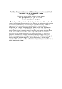 Modelling of biogeochemical cycles and climate change on the