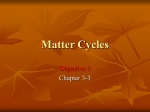 MatterCycles