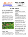 Growing Perennials - Clemson University