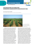 FAPESP BIOENERGY PROGRAM GENE ExPRESSION PROFIlE