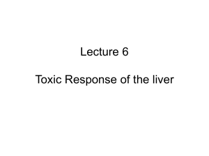 Toxic Response of the liver