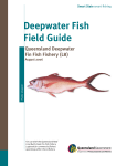 Deepwater Fish Field Guide - Department of Agriculture and Fisheries