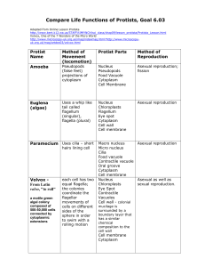 Compare Life Functions of Protists, Goal 6