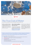 The True Cost of Water - Veolia Water Technologies