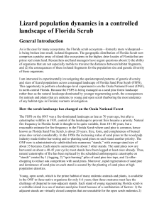 Lizard population dynamics in a controlled landscape of Florida Scrub