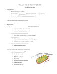 Guided Notes sheet