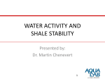 WATER ACTIVITY AND SHALE STABILITY