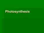 Chapter 8 - Photosynthesis-1