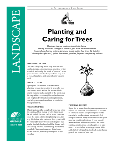 Planting and Caring for Trees - Peterborough Green-Up