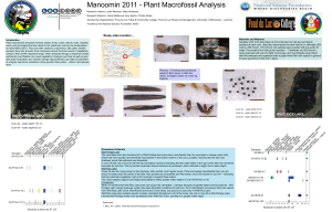 Plant Macrofossil Analysis - Limnological Research Center