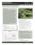Native Plant Communities Resource Brief