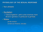 physiology of the sexual response
