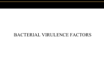 virulence factors