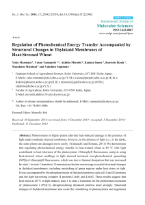 Regulation of Photochemical Energy Transfer Accompanied