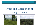 Types and Categories of Range Plants