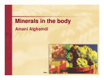 Minerals in the body