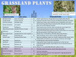 Facts about the Grassland, Wetland and Woodland plants of the TCDC