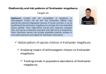 Biodiversity and risk patterns of freshwater megafauna Global