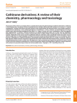 Cathinone derivatives: A review of their chemistry, pharmacology