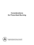 Considerations for Prescribed Burning