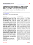 Phosphatidylglycerol-containing ER