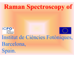 Raman spectroscopy of a single living cell