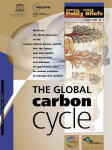 The Global carbon cycle - UNESDOC