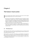 Chapter 2 The human visual system