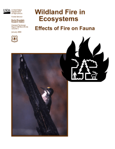 Wildland Fire in Ecosystems: Effects of Fire on Fauna