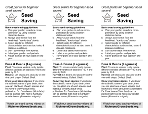 Seed Saving Seed Saving Seed Saving