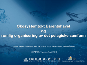 Top predators in the Barents Sea, dependent on capelin?