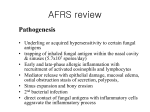 AFRS review