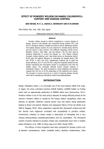 effect of powdery mildew on mango chlorophyll content and disease