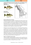 Species Description, Current Range, and Habitat