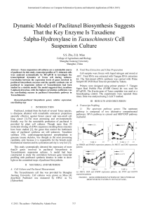 Dynamic Model of Paclitaxel Biosynthesis Suggests That the Key