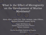 What Is the Effect of Microgravity on the Development Rate of Murine