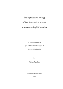 The reproductive biology of four Banksia L.f. species with contrasting