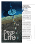 Deep life: Teeming masses of organisms thrive beneath the seafloor