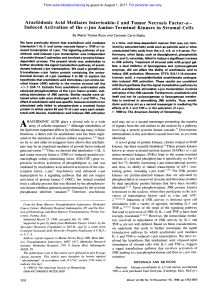 Arachidonic Acid Mediates Interleukin-1 and Tumor