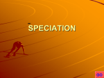 Speciation - GEOCITIES.ws
