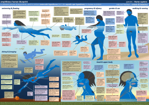 amphibious human blueprint species : Homo sapiens natural habitat