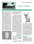 Forest Openings
