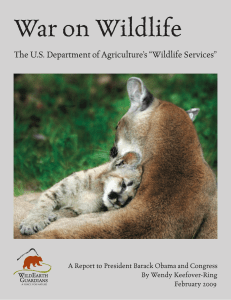 War on Wildlife - WildEarth Guardians