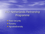FAO-Netherlands Partnership Programme