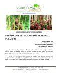 PRUNING PRETTY PLANTS FOR PERENNIAL PLEASURE By